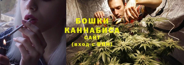 хмурый Каменка