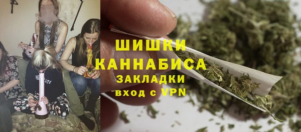 кристаллы Инта