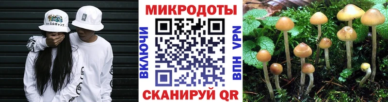 Галлюциногенные грибы Psilocybe  Купить где  Катайск 